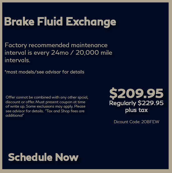 Brake Fluid Exchange